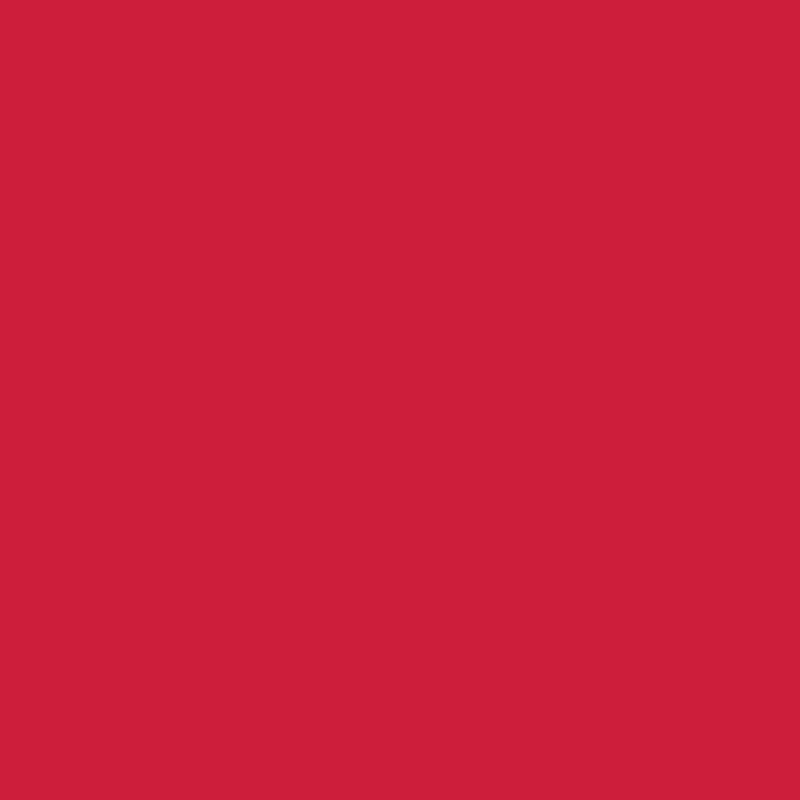 Art Gallery Pure Elements Undeniably Red | PE-537