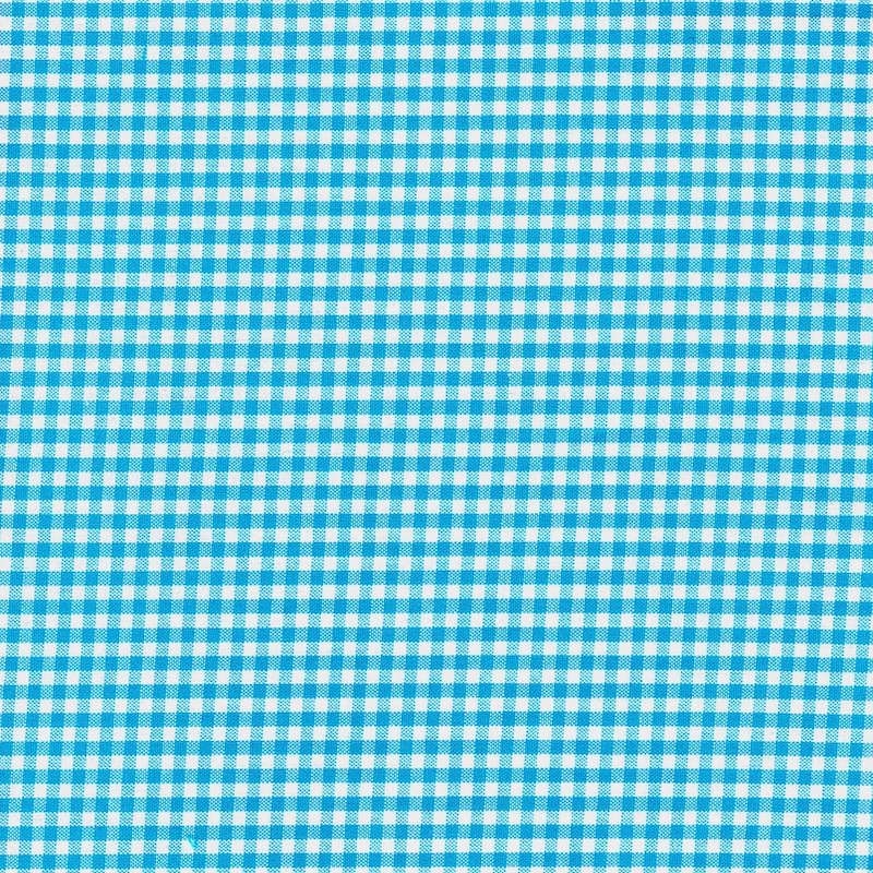 Carolina Gingham 1/8" Turquoise | 5689-10