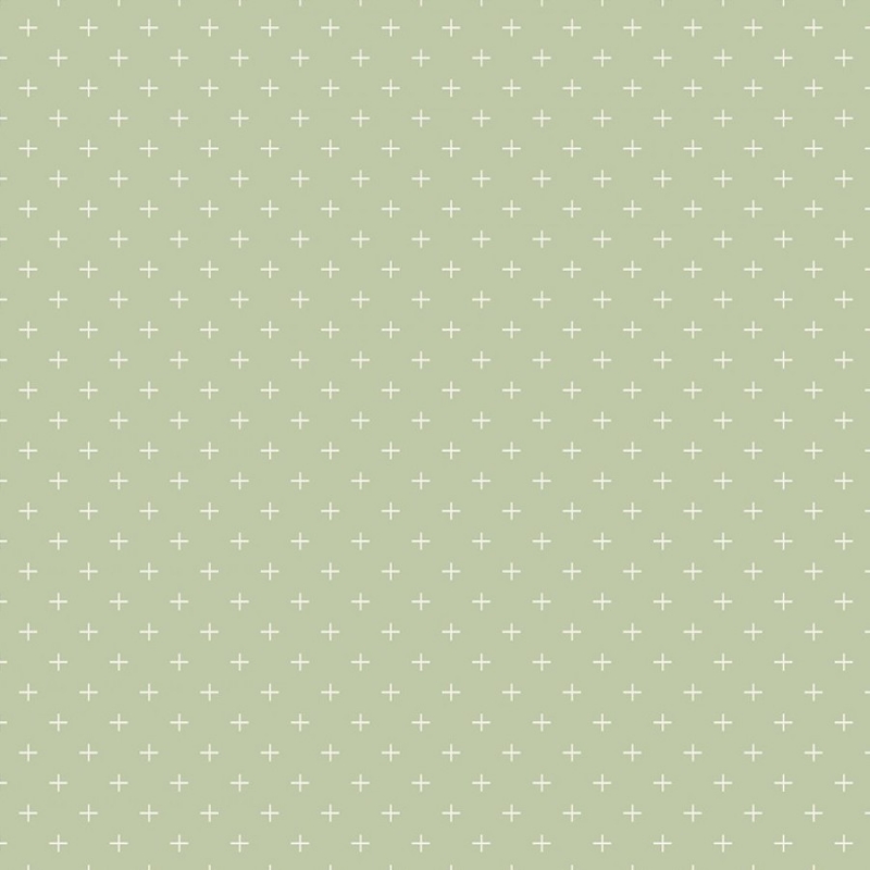 Gingham Gardens Plus Green | C10357R-GREE.jpg